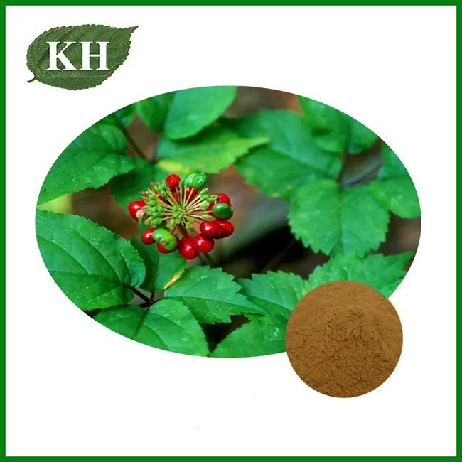 Notoginseng Extract Notoginseng Extract